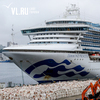      Diamond Princess     