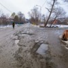Неподалеку от улицы Успенского расположено озеро с утками-мандаринками — newsvl.ru