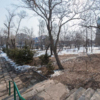 Город хочет восстановить сквер, поставить лавочки и провести свет — newsvl.ru