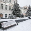 Снег во Владивостоке будет идти до утра – синоптики