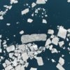 Более 200 человек отметили астрономическое начало нового года «угоном» льдины во Владивостоке. Фото Александра К — newsvl.ru