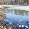 Вандалы разрушили благоустройство возле протоки Солёной в пригороде Владивостока (ФОТО)