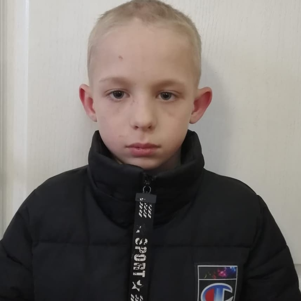 двенадцатилетние 