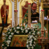 Главную икону праздника, изображающую Иисуса Христа на осле входящим в Иерусалим, украсили ветками вербы  — newsvl.ru