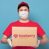   : Boxberry       19%