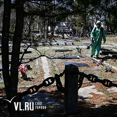 На кладбищах Владивостока проходит противоклещевая обработка 