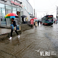 Сегодня во Владивостоке пройдёт небольшой дождь, утром – со снегом