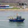 Дражный промысел моллюсков в Уссурийском заливе Владивостока ведёт компания депутата Заксобрания Приморья