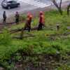 В понедельник, 18 мая, строители начали активно рубить деревья — newsvl.ru