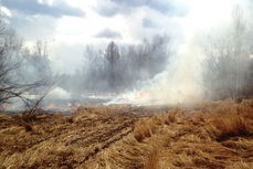 Лесные пожары в Хабаровском крае за последние сутки возникли по вине людей