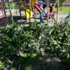 Ветви пока лежат на детской площадке — newsvl.ru