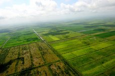 Половина сельскохозяйственных земель ЕАО используется не по назначению