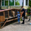 Работники зоопарка следят, чтобы посетители следовали санитарным требованиям в связи с COVID-19 — newsvl.ru