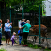 C 28 марта до 6 июня зоопарк не работал, а его владельцы терпели убытки — newsvl.ru