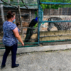 C 28 марта до 6 июня зоопарк не работал, а его владельцы терпели убытки — newsvl.ru