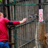 Зоопарку разрешили работать с условием соблюдения всех требований Роспотребнадзора — newsvl.ru