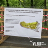 Общественные наблюдатели проинспектировали реконструкцию четырёх скверов во Владивостоке (ФОТО)