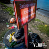 Отдыхающие на пляжах во Владивостоке оставляют после себя горы мусора (ФОТО)