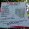 После обнаружения реликтовых деревьев на участке под ЖК «Южный» власти Владивостока приостановили действие порубочного билета (ФОТО; ВИДЕО)