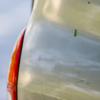 Гусеницы падают на машины — newsvl.ru