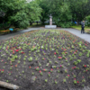Сквер Комсомольцев (ул. Пушкинская, 63) — newsvl.ru
