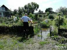 Как спасти дачный урожай от гибели во время затяжных дождей (ПАМЯТКА) —Новости Хабаровска
