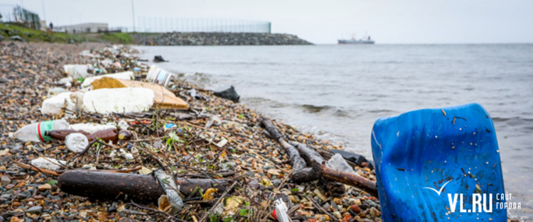 После моря. Море выбросило на берег много мусора. Пляж после шторма Владивосток. Мусор на берегу моря после шторма. Море выбросило мусор на берег.