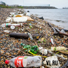 После шторма море выбросило на пляж МГУ имени Невельского много мусора (ФОТО)
