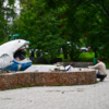 В понедельник, 29 июня, рабочие подрядной организации начали работы по восстановлению фигуры кита в сквере рядом с автобусной остановкой «Универсам» — newsvl.ru