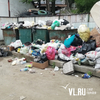 Жители Владивостока жалуются на мусор во дворах (ФОТО)