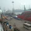 Власти Китая поместили на карантин 95 российских моряков с судна, принадлежащего Находкинской БАМР