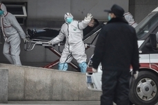 Дойдет ли до Хабаровска вспышка бубонной чумы из Китая — рассказали эксперты