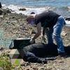 Во Владивостоке обнаружили тело пропавшего зимой рыбака