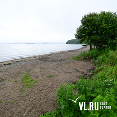 Суд обязал администрацию Владивостока отменить торги по аренде пляжа в посёлке Канал