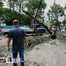 Во Владивостоке началась реконструкция Нагорного парка