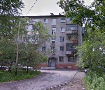 Письмо в редакцию: блохи закусали жильцов многоквартирного дома в Хабаровске