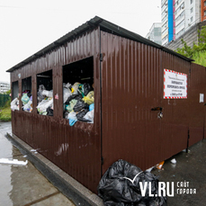 «Бегают крысы, стоит вонь, рядом детская площадка»: мусорные компании во Владивостоке продолжают нарушать сроки и СанПиНы 