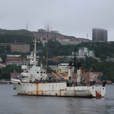 Учёные ВНИРО отправились из Владивостока в Охотское море для подсчёта китов