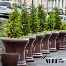 Вазоны для деревьев и цветов переехали на центральную площадь Владивостока через два дня после установки на Светланской 