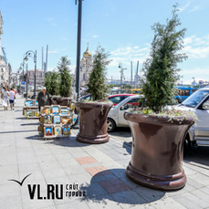 Гигантские вазоны с туями в центре Владивостока в третий раз за неделю сменили «прописку» 
