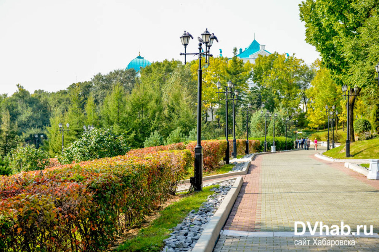 Прогноз хабаровского. Озеленение Хабаровска. Хабаровск погода сейчас фото. Погода в Хабаровске. Хабаровск погода фото.