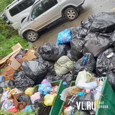 Регоператор готовится расторгнуть контракт с компанией «Даль-Эко», которая хуже всех вывозит мусор во Владивостоке