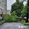 Штормовой ветер повалил деревья и сорвал крыши во Владивостоке (ФОТО)