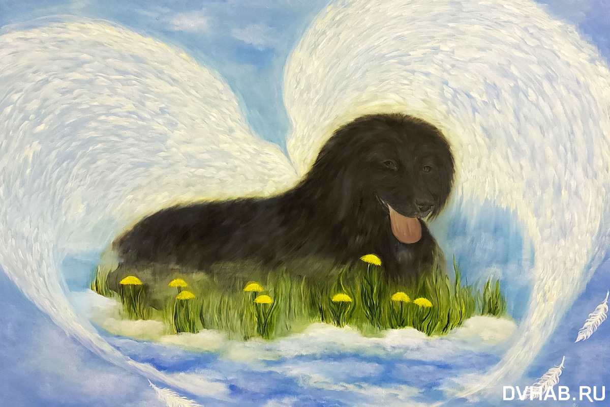 красивые собаки. собака ангел. щенок из ангел хранитель астафьев. собаки ангелы на земле. собака ангел хранитель.