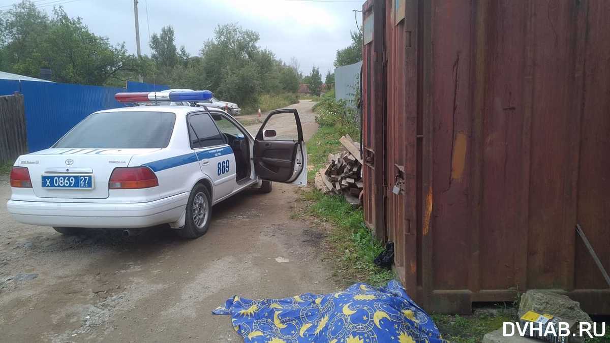 Собственную мать задавила машиной хабаровчанка в переулке Хехцирском (ФОТО)  — Новости Хабаровска