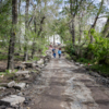 В парке проведут санитарную обработку, сохраняя все живые деревья — newsvl.ru