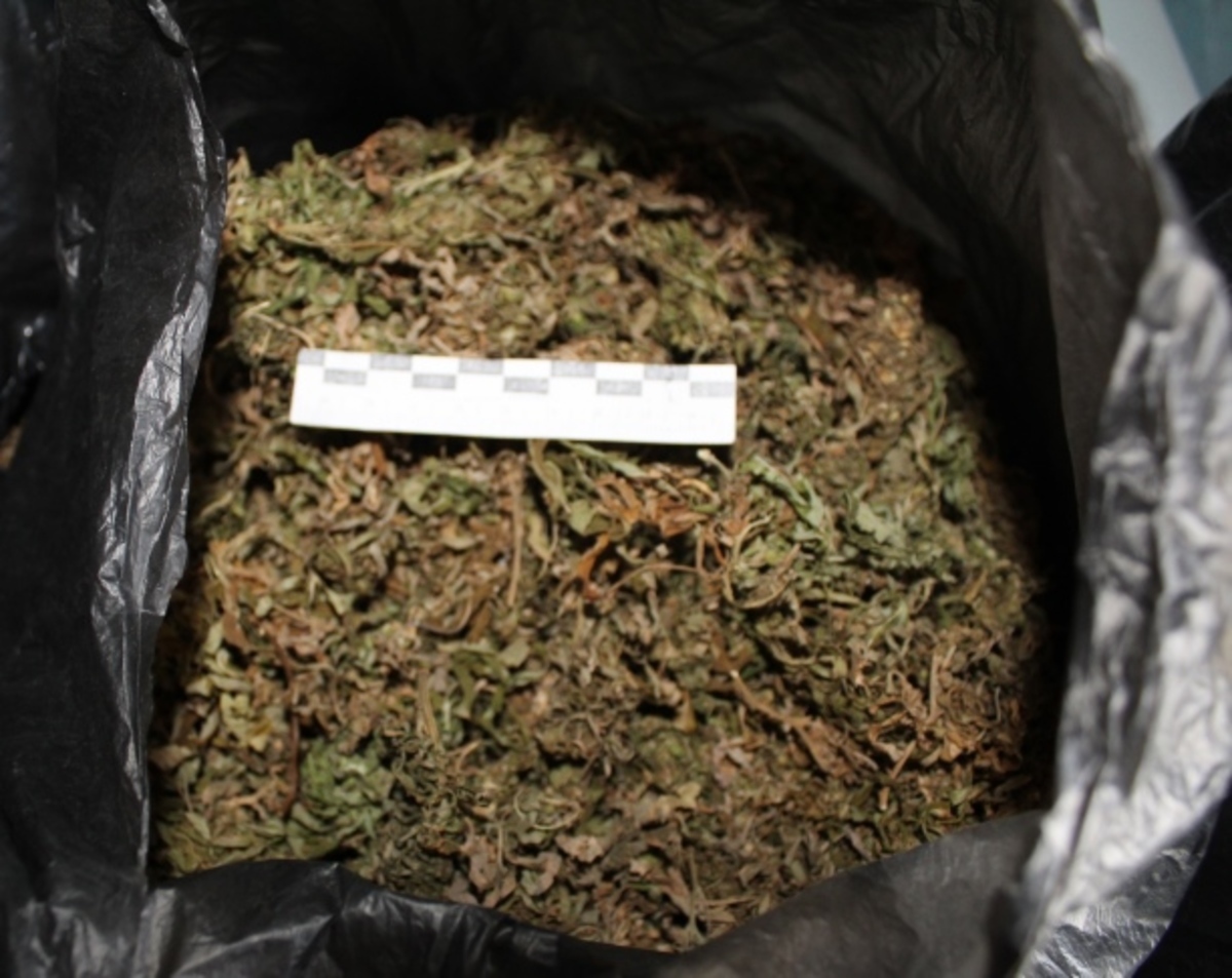 Наказание за коробок марихуаны сайт о выращивании конопли