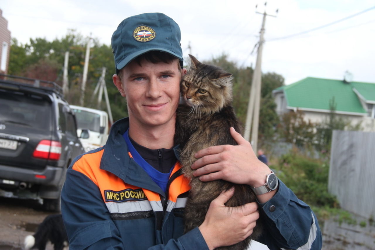 Пожарный спас кота. Спасите котика. Кошка в тачке. Спрятался в холодильнике. Зато я спас кота.