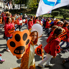 День тигра отметят в воскресенье на Спортивной набережной Владивостока