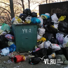 Директор Приморского экологического оператора оценил работу по вывозу мусора во Владивостоке на «четыре с минусом»